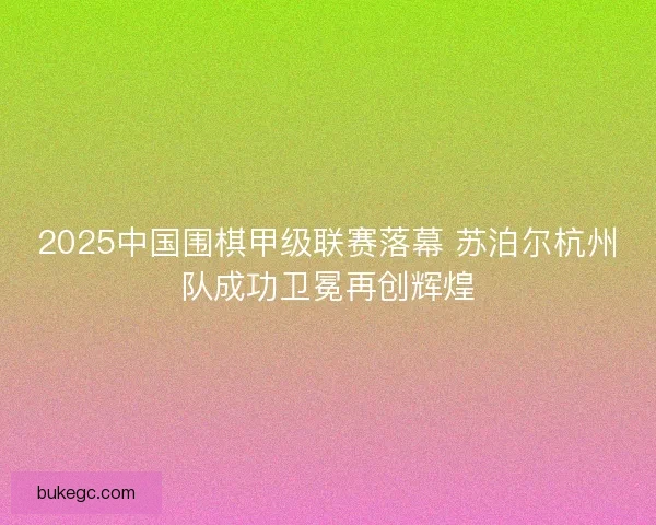 2025中国围棋甲级联赛落幕 苏泊尔杭州队成功卫冕再创辉煌