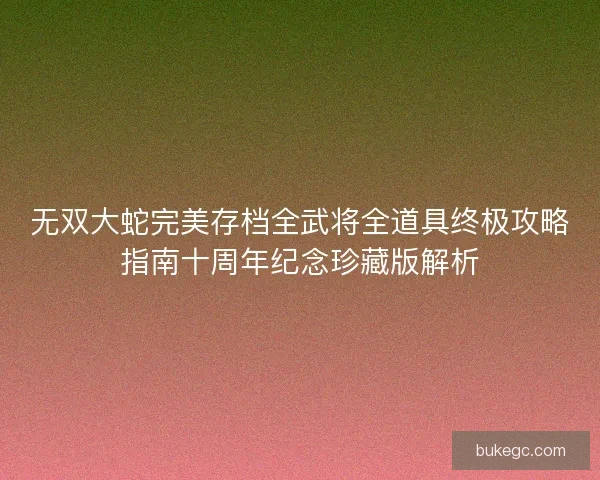 无双大蛇完美存档全武将全道具终极攻略指南十周年纪念珍藏版解析