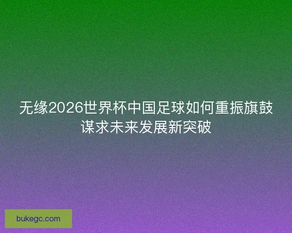 无缘2026世界杯中国足球如何重振旗鼓谋求未来发展新突破