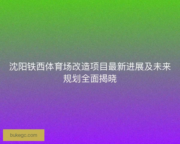 沈阳铁西体育场改造项目最新进展及未来规划全面揭晓